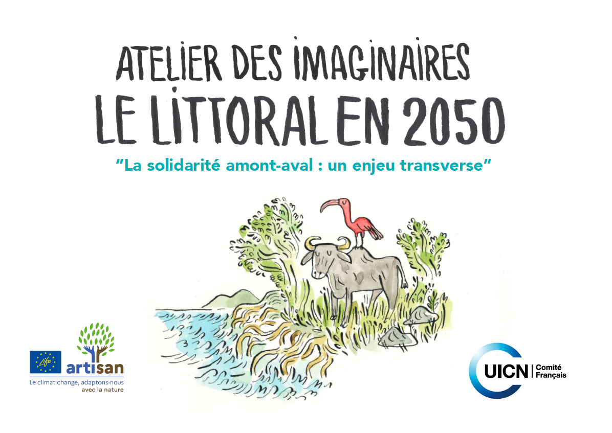 Atelier des imaginaires – Le littoral en 2050 « La solidarité amont-aval : un enjeu transverse »