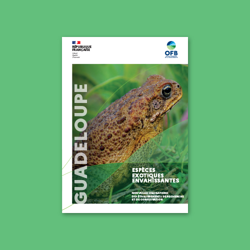 Couverture de la plaquette "Guadeloupe - Espèces exotiques envahissantes - Nouvelles obligations des établissements de recherche et de conservation"