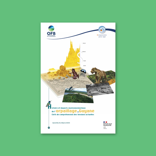 Couverture de "Histoire et impacts environnementaux de l’orpaillage en Guyane. Clefs de compréhension des tensions actuelles"