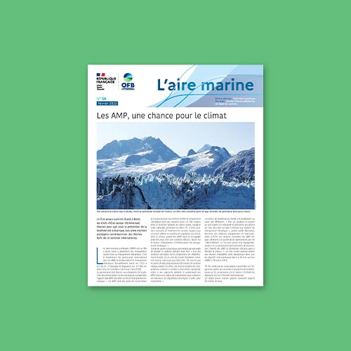 L'Aire marine n°54