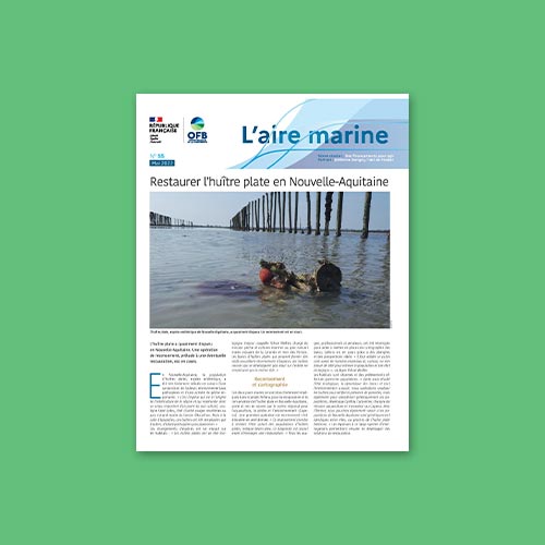 L'Aire marine n°55