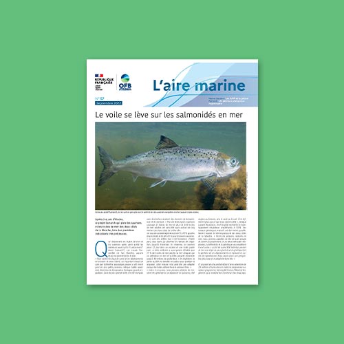 L'Aire marine n°57