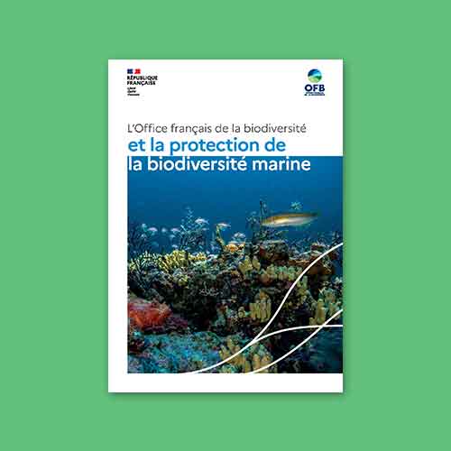 L’Office français de la biodiversité et la protection de la biodiversité marine