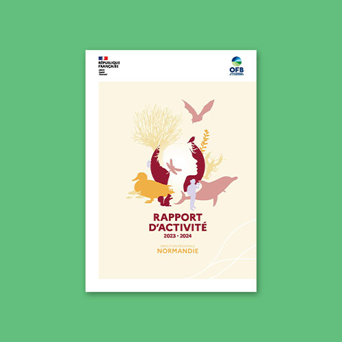 Rapport d'activité 2023-2024 - Direction régionale Normandie