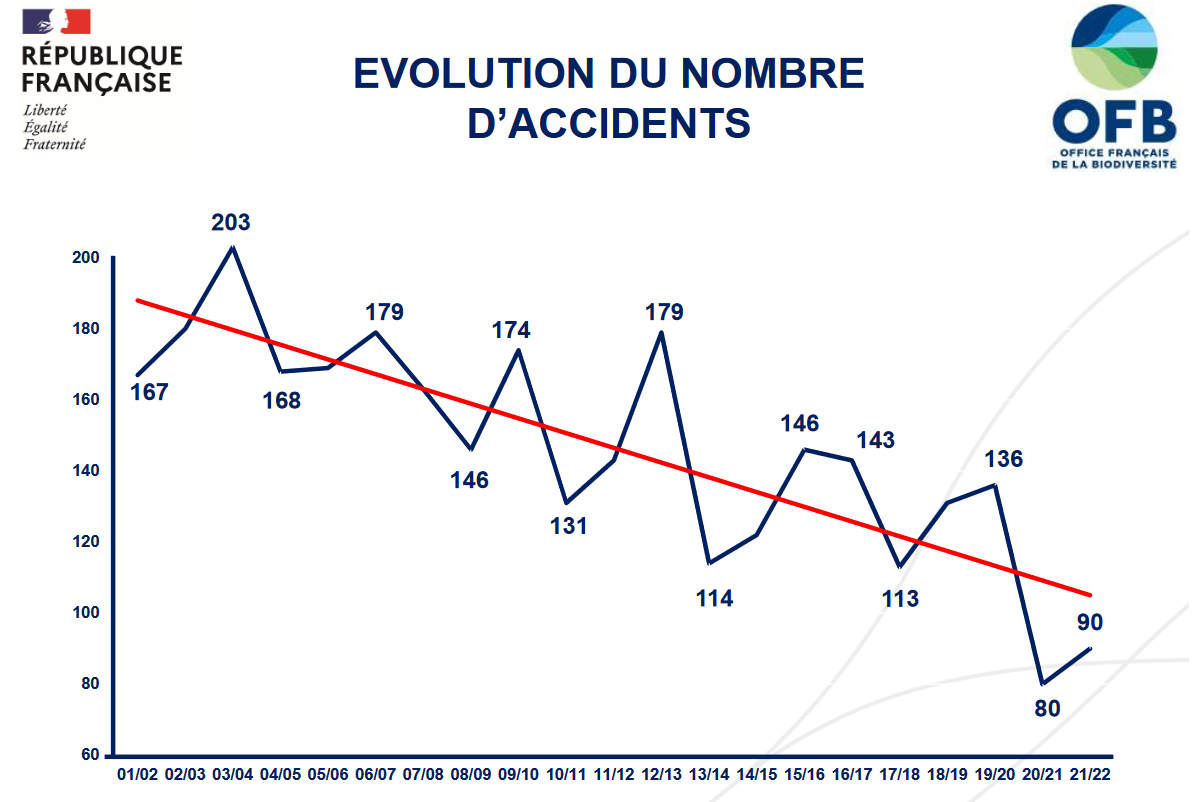 Evolution of the number of accidents