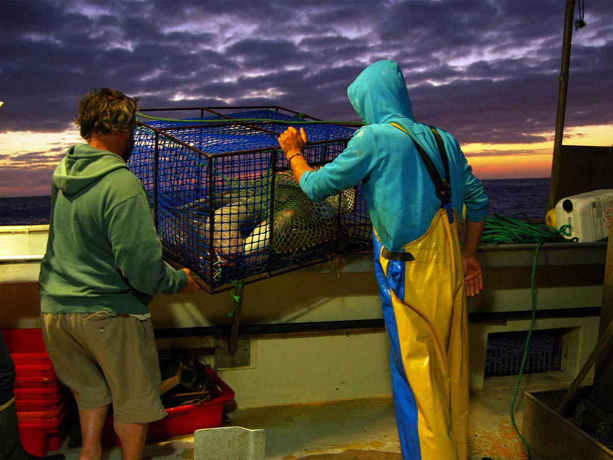 La pêche professionnelle emploie quelque 270 marins sur le Bassin. Crédit photo : Benoît Dumeau / OFB