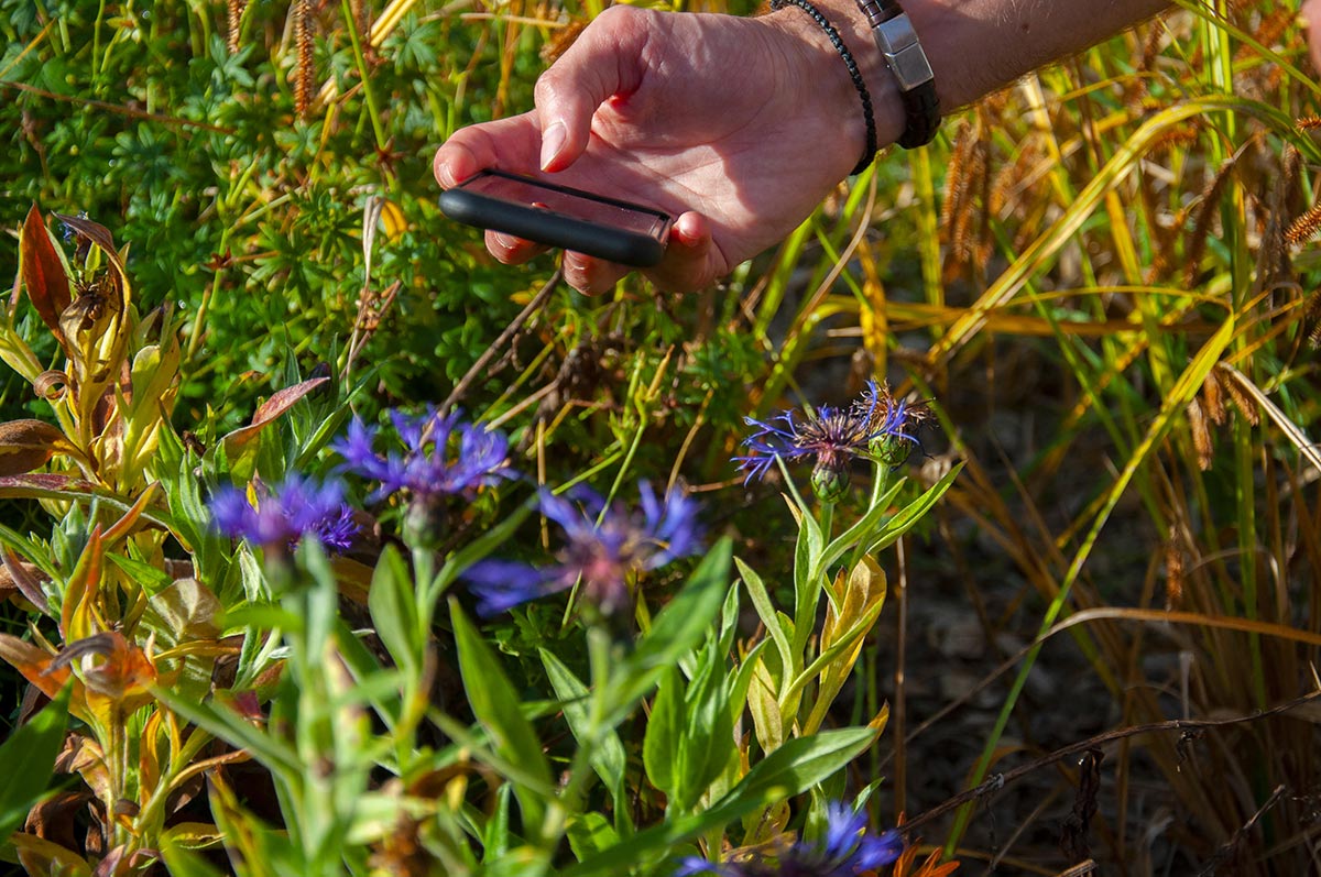 Nouvelle version de l’application « INPN Espèces » pour sensibiliser les scolaires à la biodiversité française