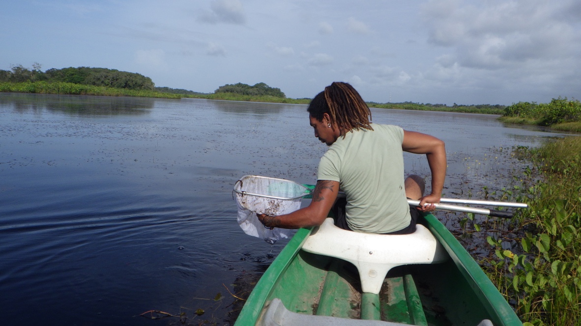 Inventaire des poissons d'eau douce en Guyane - Micro-projet Te Me Um porté par l'association SEPANGUY. Crédit photo : F. Veinante