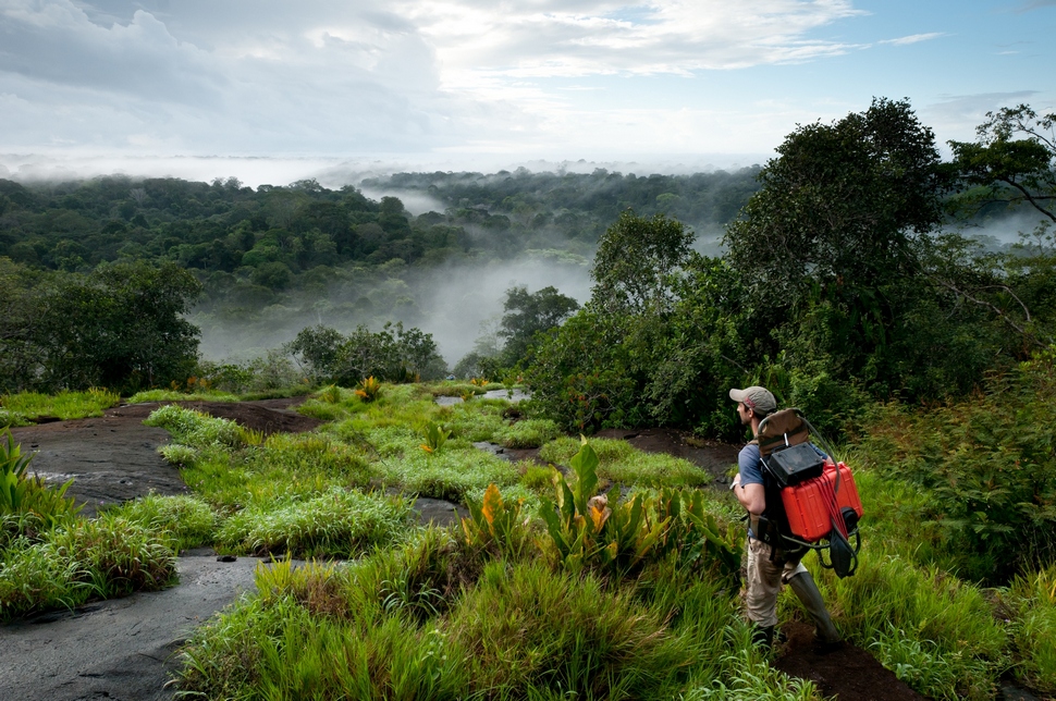 Lever du jour sur l'inselberg Memora, bassin de l'Oyapock, dans le cœur du Parc amazonien de Guyane. Crédit : Guillaume Feuillet / Parc amazonien de Guyane