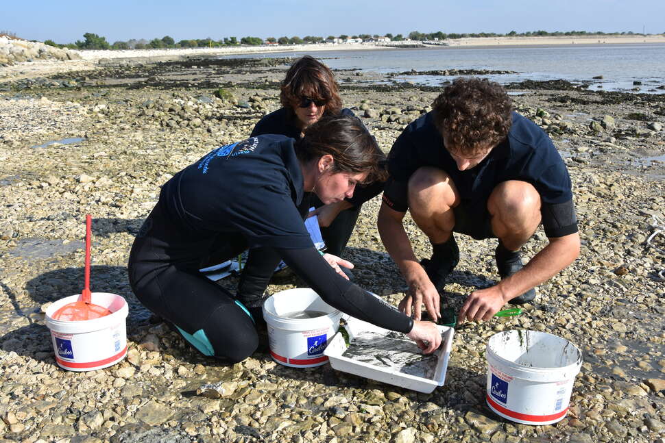 Suivi scientifique des nourriceries côtières dans le Parc naturel marin de l’estuaire de la Gironde et de la mer des Pertuis. Crédit photo : Cécile Barreaud / OFB