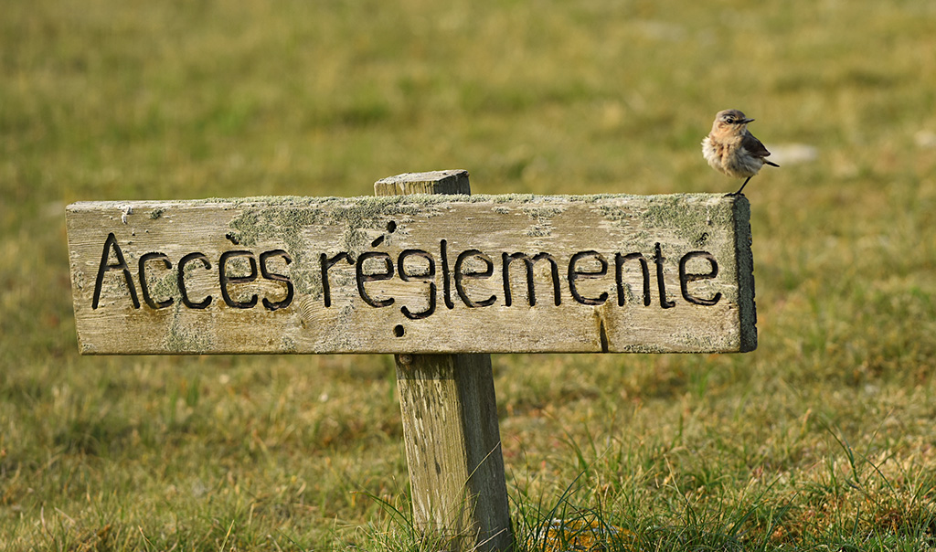 Panneau de la réserve de chasse et de faune sauvage Ile de Béniguet. Crédit photo : Gaël Moal / OFB