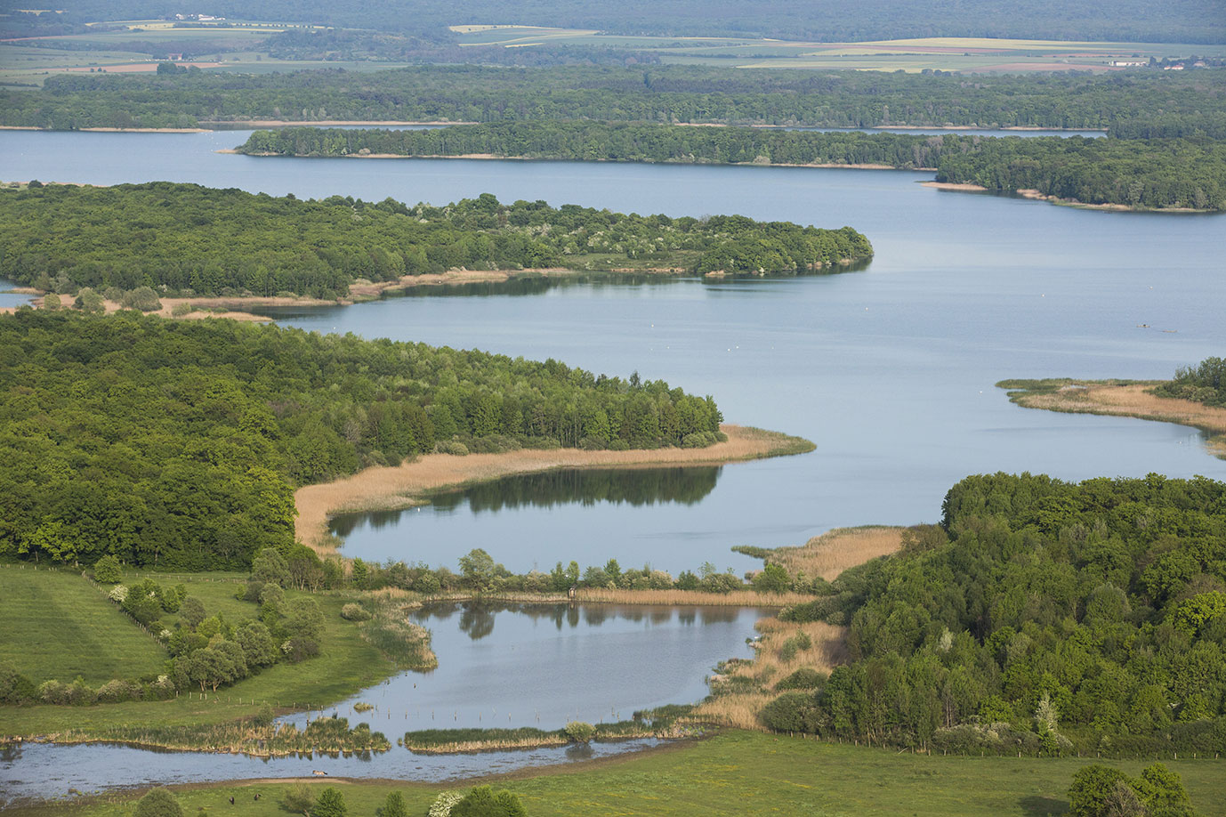 Réserve nationale de chasse et de faune sauvage Lac de Madine et étang de Pannes. Crédit photo : Nicolas Vaningen
