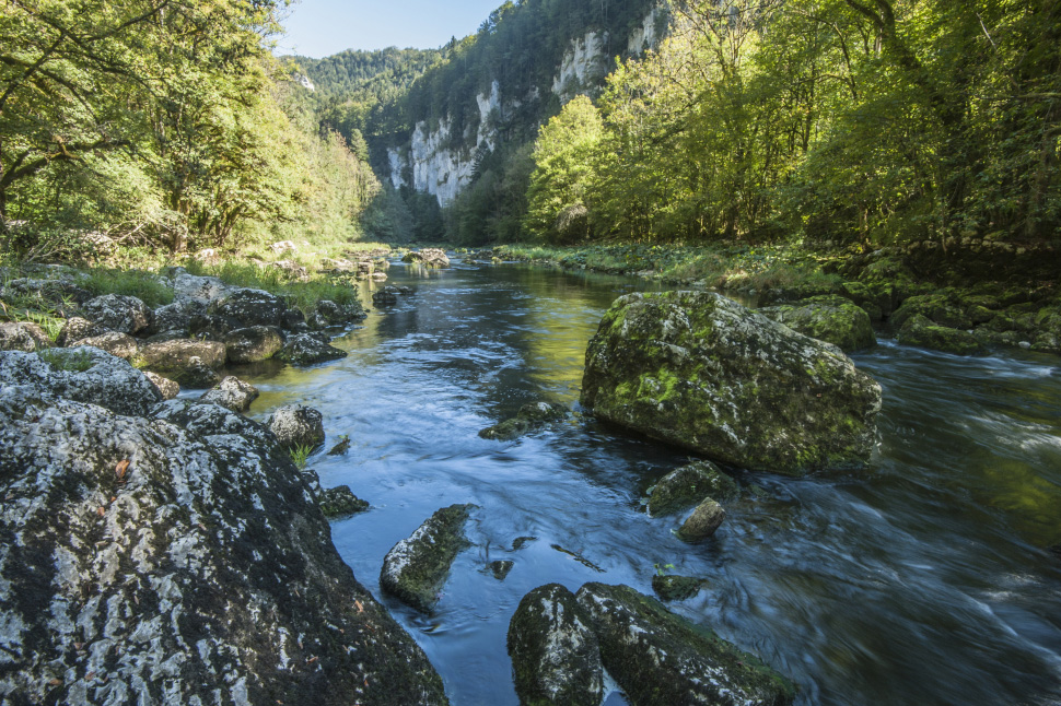 Le Doubs est une rivière française et suisse traversant trois départements : le Doubs auquel il a donné son nom, leJura et la Saône-et-Loire. Crédit photo : Fabien Salles / OFB