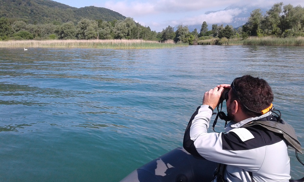 Surveillance au Lac du Bourget en Savoie. Crédit : Nicolas Bergher / Office français de la biodiversité
