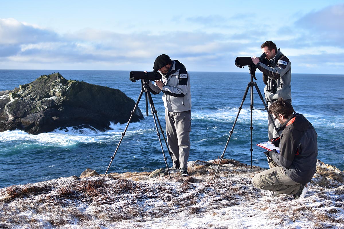 Les agents de Saint-Pierre-et-Miquelon en mission de comptage des canards marins. Crédit photo : Delphine Gioani / OFB