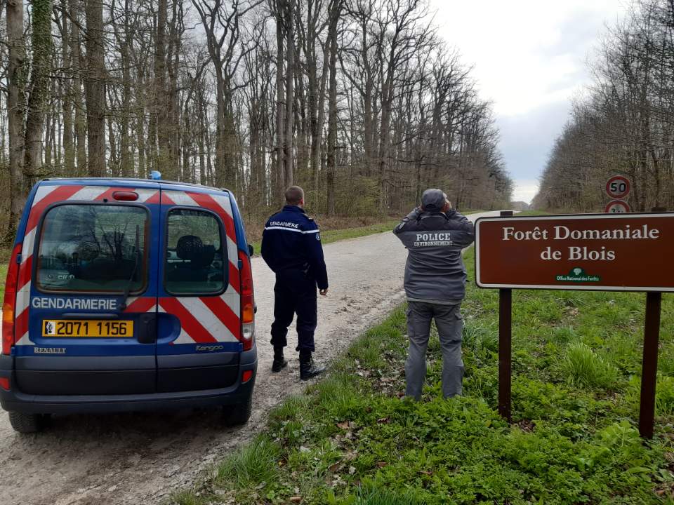 Contrôle commun des agents de l'OFB et de la Gendarmerie nationale en forêt domaniale de Blois. Crédit photo : I. Costa / OFB
