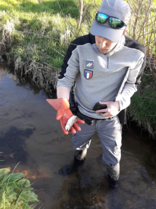 Un agent constate la pollution du cours d'eau "Le Touru". Crédit photo : OFB