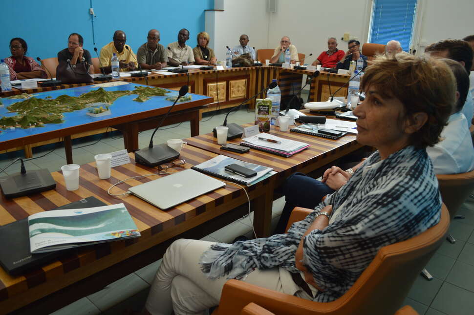 Réunion du conseil de gestion du Parc naturel marin de Mayotte le 14 juin 2016. Crédit photo : Fanny Cautain / OFB