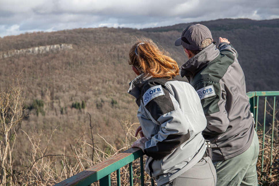 Les agents de l'OFB en mission de surveillance et de suivi naturaliste dans la Vallée du Cusancin. Crédit photo : Sébastien Lamy / OFB