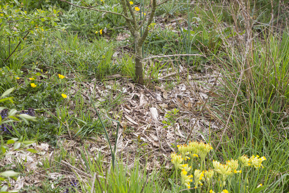 Marqueur pour Ardoise - Jardin Biodiversité