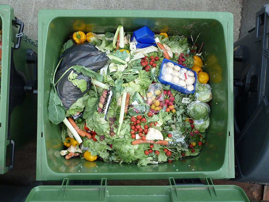 En France, 10 millions de tonnes d'aliments sont gaspillées chaque année, soit 150 kilos par personne. Crédit photo : Foerster