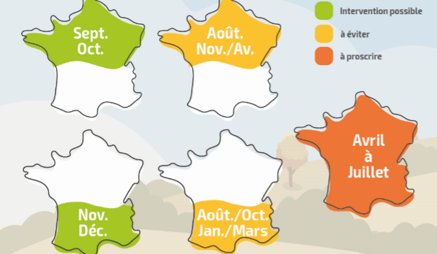 Les oiseaux font leurs nids… L’OFB préconise de ne pas tailler les haies ni de couper les arbres entre le 16 mars et le 15 août