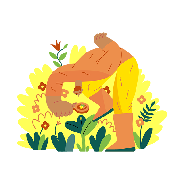 Illustration : Rendre son jardin accueillant pour les pollinisateurs Rendre son jardin accueillant pour les pollinisateurs
