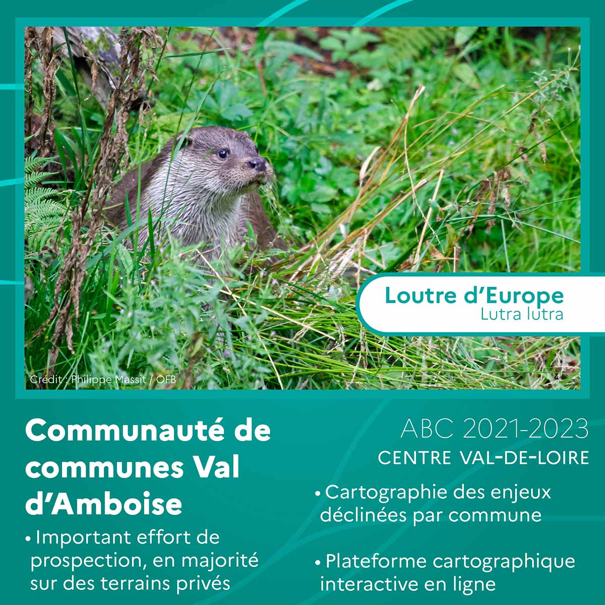 Communautés de communes du Val d’Amboise (Centre-Val de Loire)