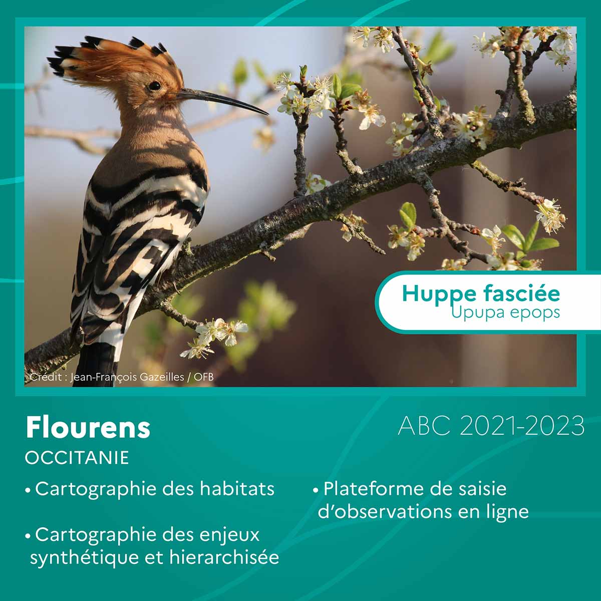 Flourens (Occitanie)