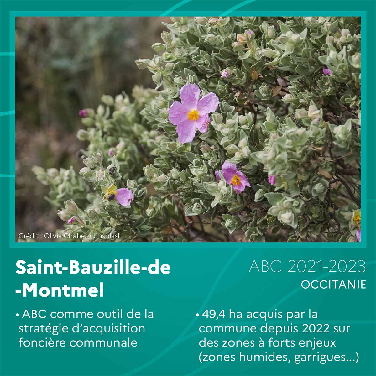 Saint-Bauzille-de-Montmel (Occitanie)