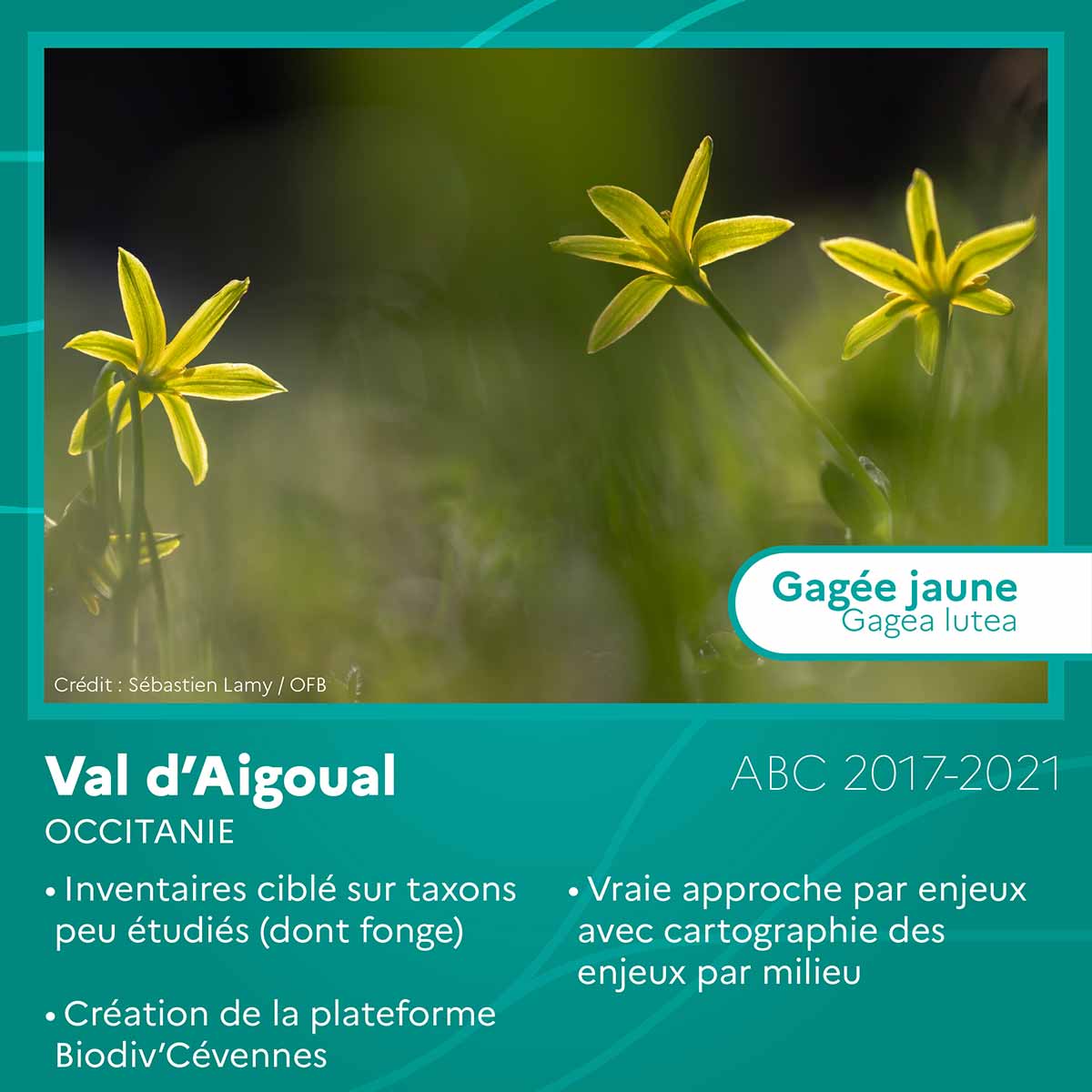 Val d’Aigoual (Occitanie) 