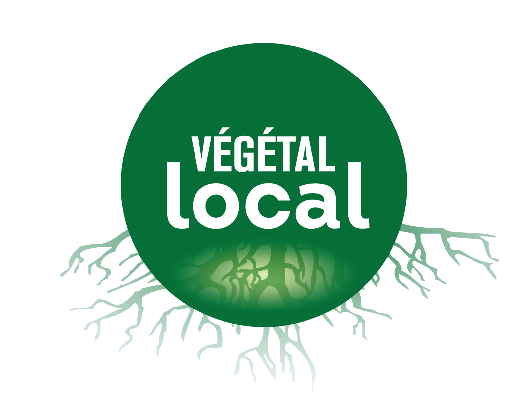 Logo de la marque Végétal local.