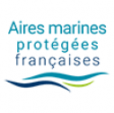 icone AMP françaises