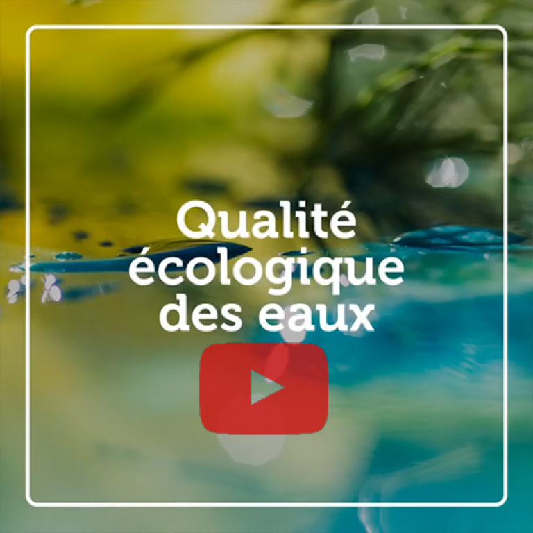 Indicateur vidéo - Qualité écologique des eaux de surface