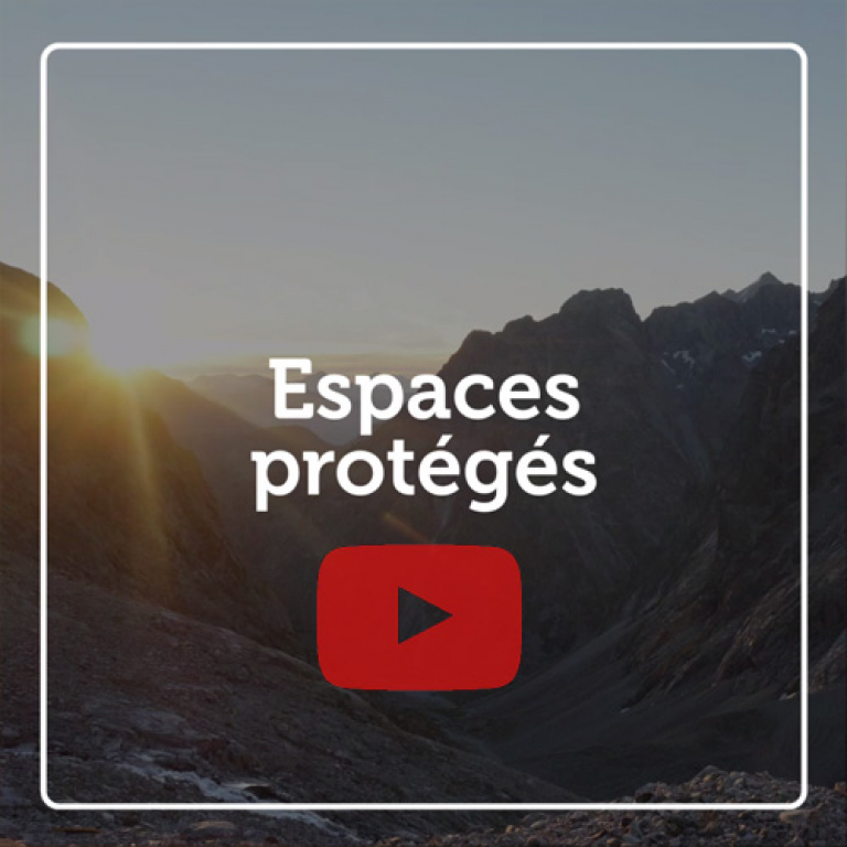 Indicateur vidéo - Espaces protégés