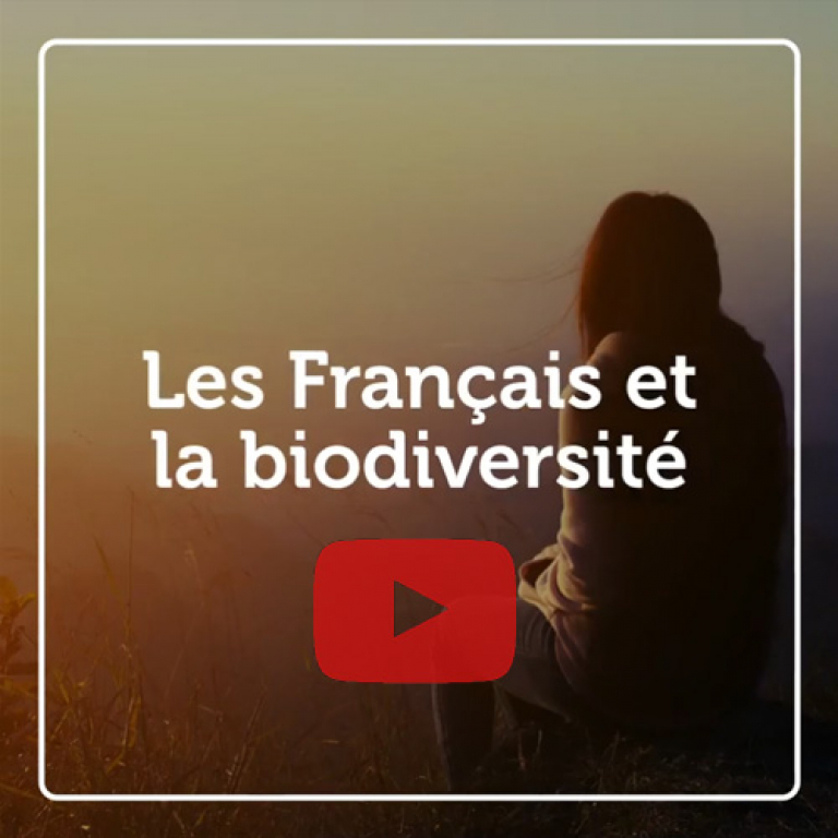 Indicateur vidéo - Les Français et la biodiversité
