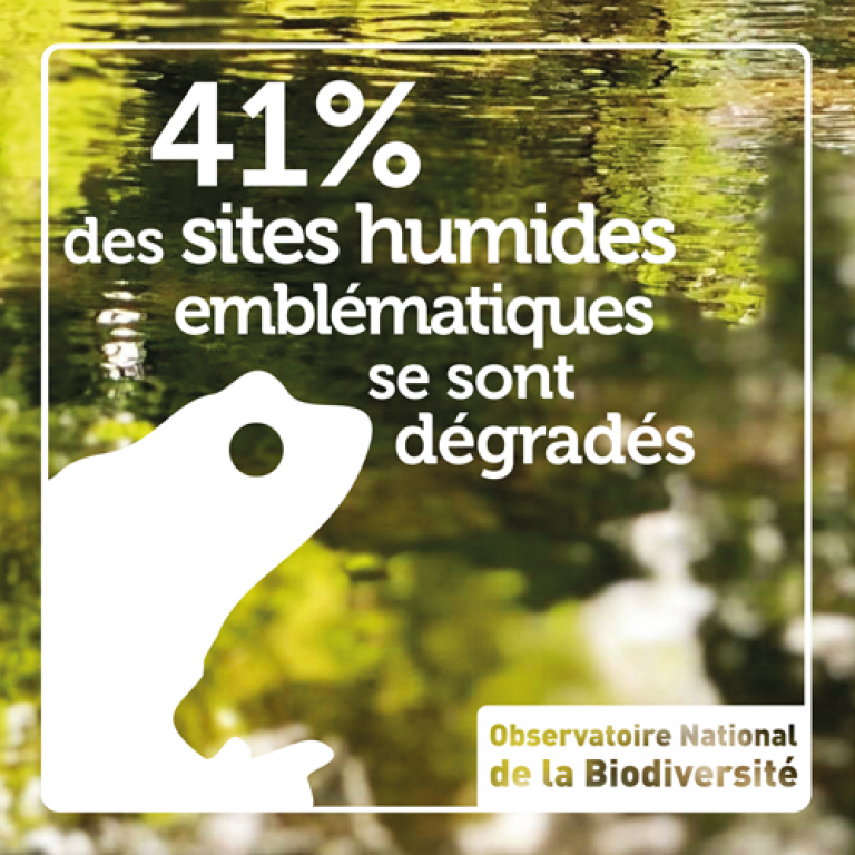 41 % des sites humides emblématiques se sont dégradés