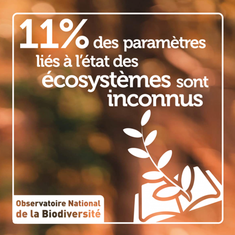 Indicateur 11 % des paramètres liés à l'état des écosystèmes sont inconnus - Olivier Debuf. Crédit photo : Pixabay License