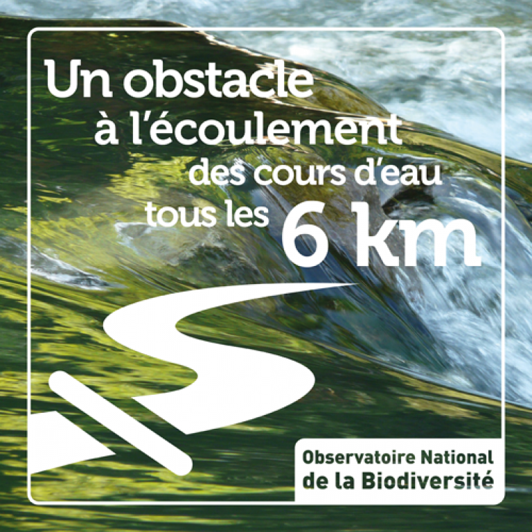 Indicateur 1 obstacle à l'écoulement des cours d'eau tous les 6km - Olivier Debuf. Crédit photo : Pixabay License