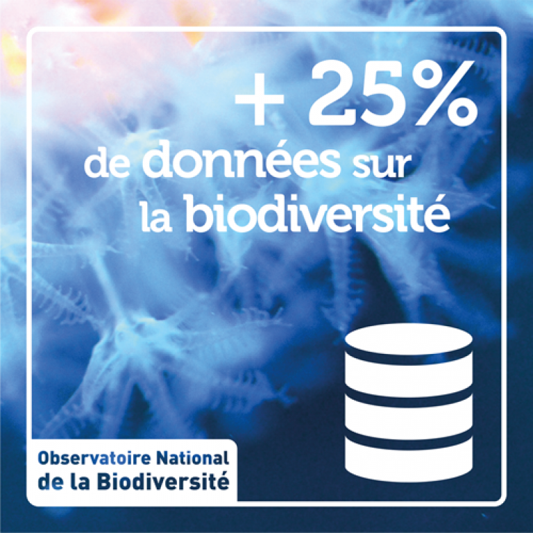 Indicateur +18% de données sur la biodiversité - Olivier Debuf. Crédit photo : Yannis Turpin / Office français de la biodiversité