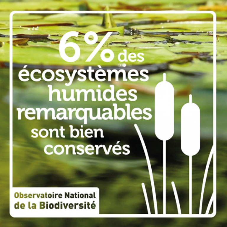 Indicateur 6 % des écosystèmes humides remarquables sont bien conservés - Olivier Debuf. Crédit photo : Pixabay License