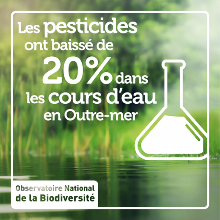 Indicateur Les pesticides ont baissé de 21% dans les cours d'eau en Outre-mer - Olivier Debuf. Crédit photo : Pixabay License