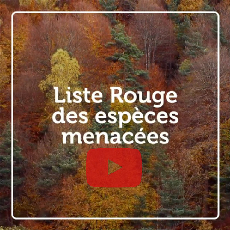 Indicateur vidéo - Liste rouge des espèces menacées