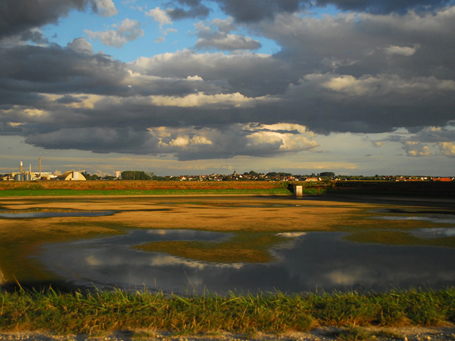 Le bassin de Nangis. Crédit photo : Maxime Zucca / ARB Île-de-France