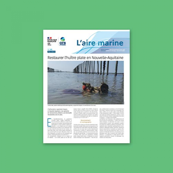 L’Aire marine n°55