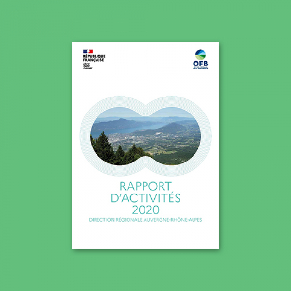 Rapport d'activités 2020 - Direction régionale Auvergne-Rhône-Alpes