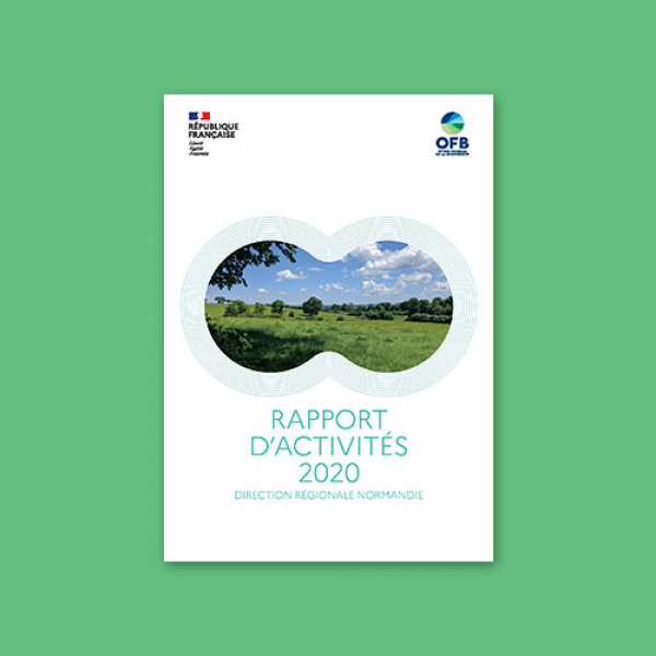 Rapport d'activités 2020 - Direction régionale Normandie