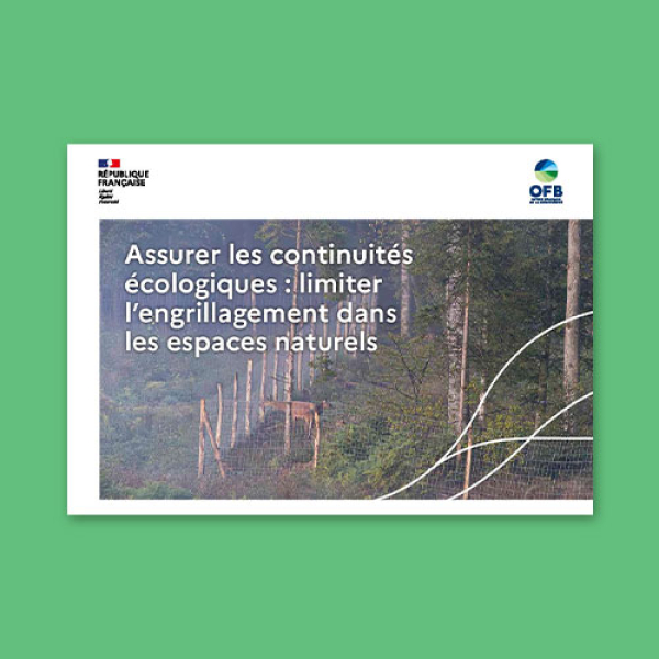Assurer les continuités écologiques : limiter l’engrillagement dans les espaces naturels