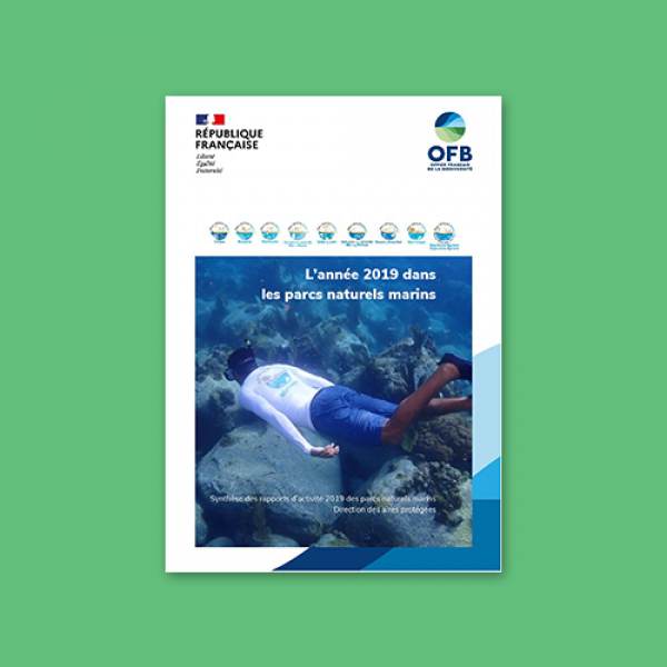Couverture de la synthèse des rapports d'activités 2019 des parcs naturels marins