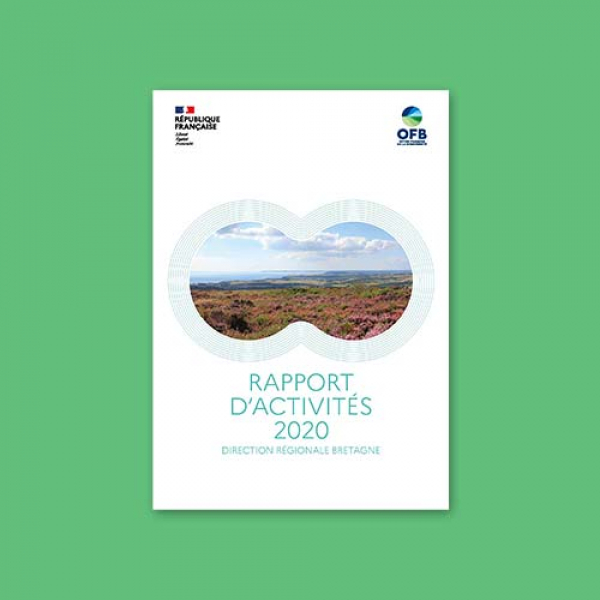 Rapport d'activités 2020 - Direction régionale Bretagne